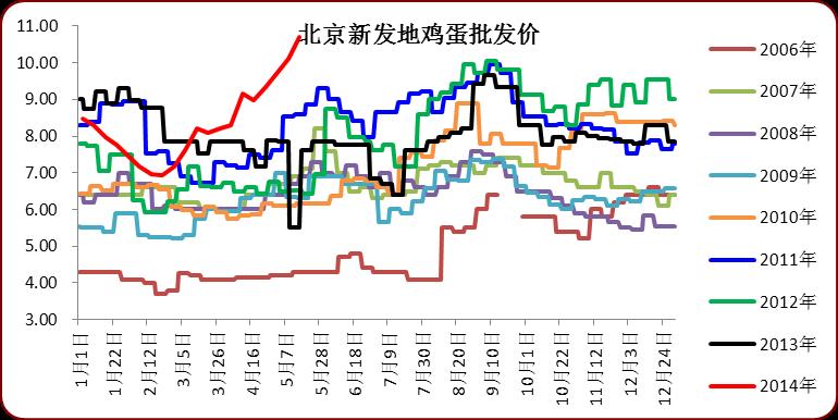 北京鸡蛋今日最新报价，时代印记与市场的微妙脉动