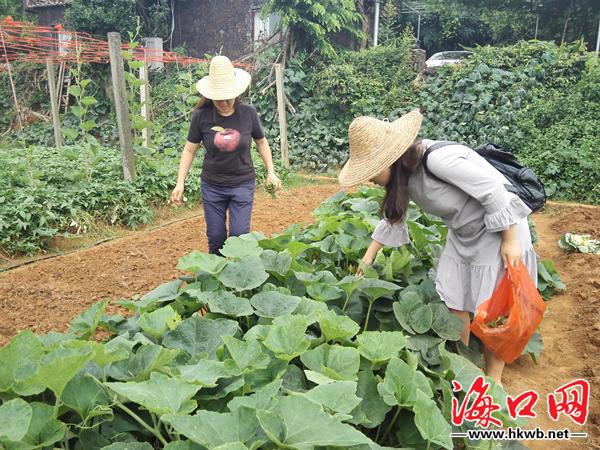 海口最新水库钓鱼点探索与体验之旅