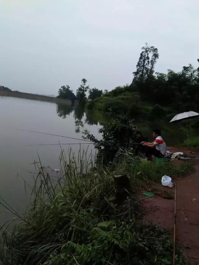 宜宾最新钓鱼胜地探索