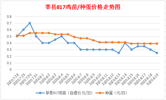 莘县黄瓜价格行情分析，最新动态、市场预测与趋势展望