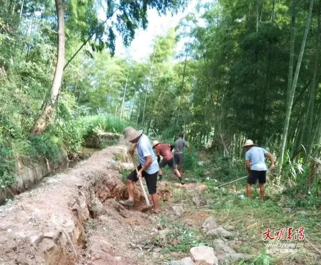 耒阳停水最新消息，小巷深处的独特邂逅揭秘供水状况