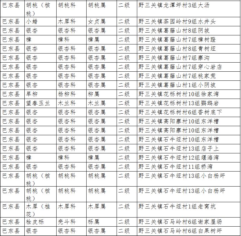 金阳县最新任免公示揭秘，小巷中的隐藏瑰宝