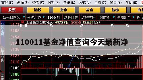 今日最新净值揭秘，深度探讨110011基金净值查询