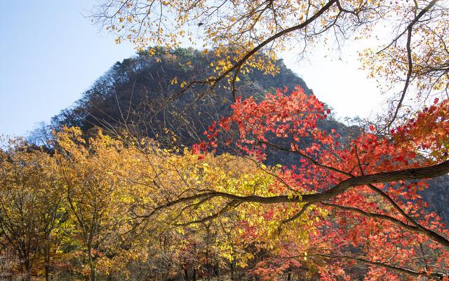 最新电视剧探索自然美景的治愈之旅之旅首播在即