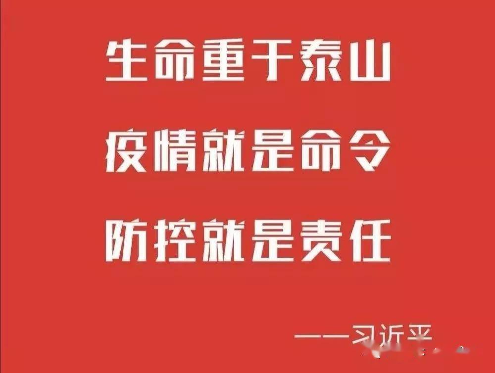 最新疫情通报与小巷深处的特色小店探秘