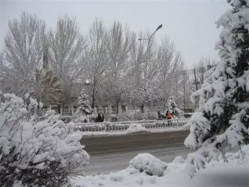 最新雪巷，独特风味尽显雪中情