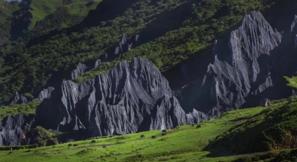 最新年自然美景探险之旅，寻找心灵宁静之地