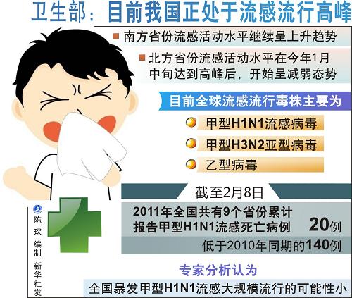 流感最新动态解析，获取方法与应对策略的全面指南