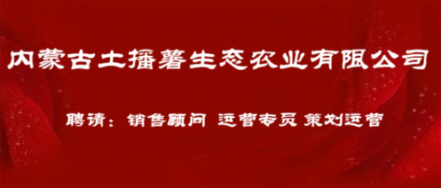 赤峰最新招工信息及小巷深处的独特风味探索！