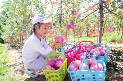 新建区最新动态，揭开时代新篇章序幕