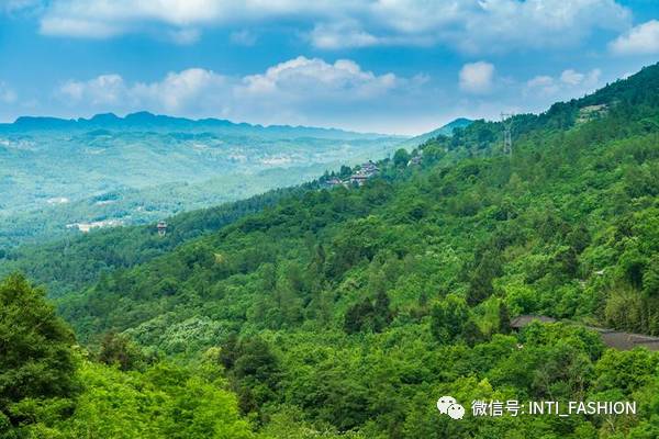 巫溪人才网最新招聘，启程探索自然美景，寻找内心平和之旅