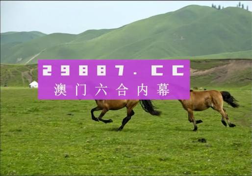 新版跑狗图库热门解答：参与版URB669.73，7777788888独家呈现