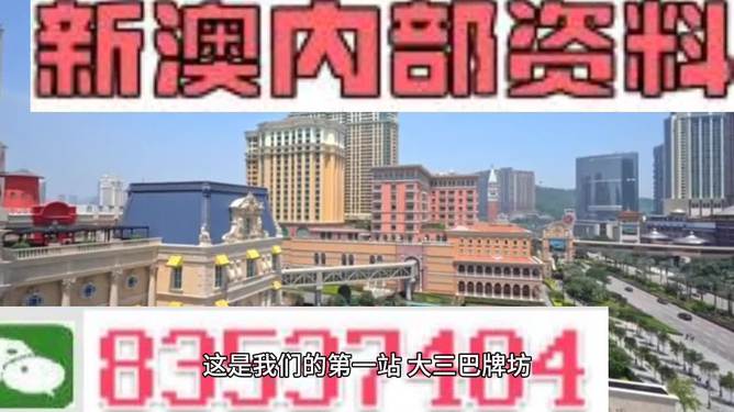 “2024澳门正版精准免费指南，安全解析攻略_挑战版MYN778.28”