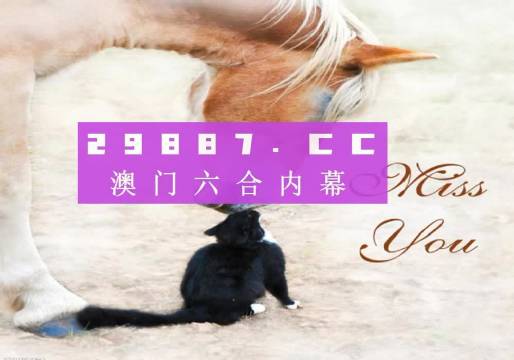 澳门精准大全4949免费版，VBP709.45高效解析与赏析