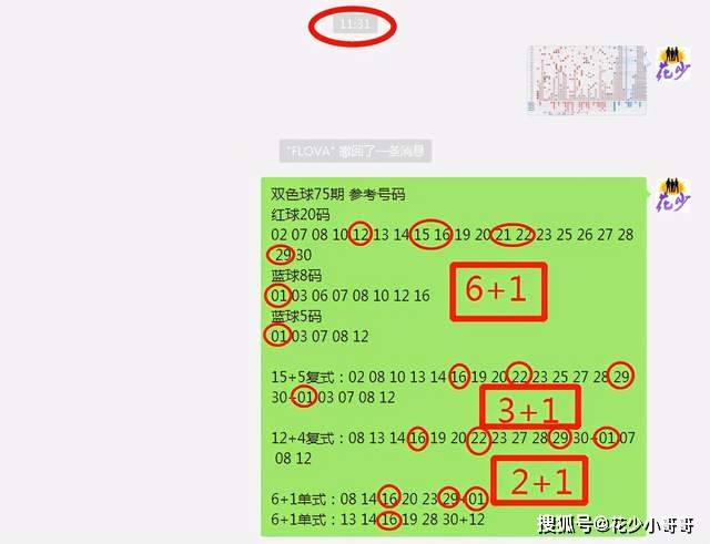 白小姐今晚特马期期准六,状况评估解析_便携版YWB604.22