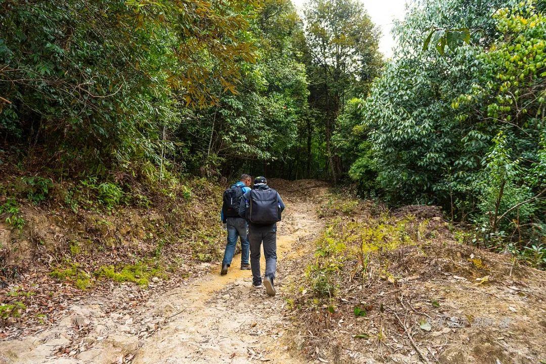 南岭国家公园最新动态，自然美景探索之旅正式启程！