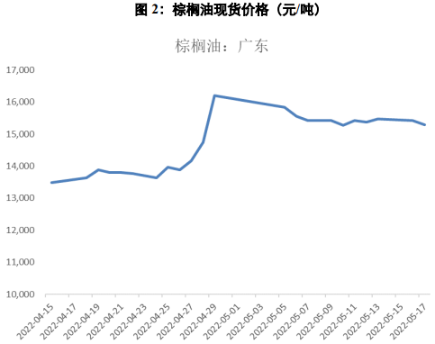 棕榈油现货价格动态，最新行情深度分析与影响探讨