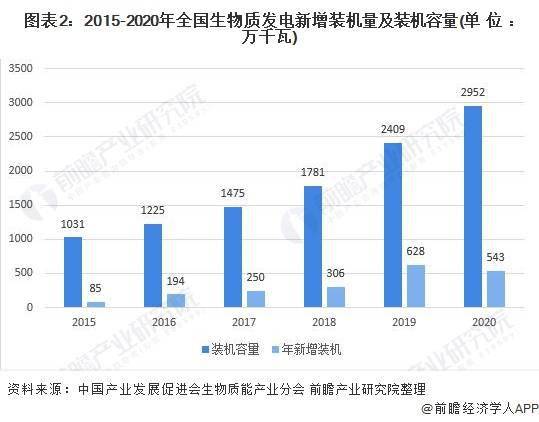 豇豆最新价格及市场走势多元观点分析