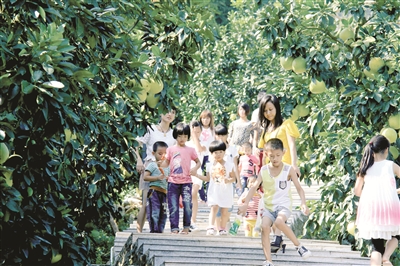 光山最新唱道，与自然美景的邂逅，内心平和之旅启程