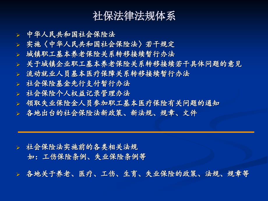 最新社保法观点论述解析，深度解读新规及其影响