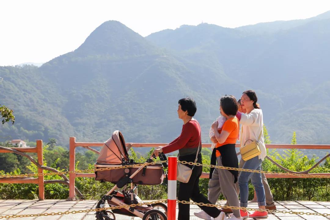 东莞最新兼职，探索自然美景的旅行，寻找内心的平和宁静