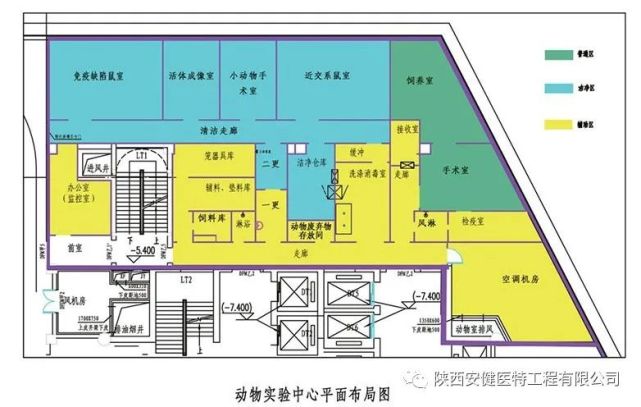 最新个性签名设计指南，如何打造独特且引人注目的个性签名