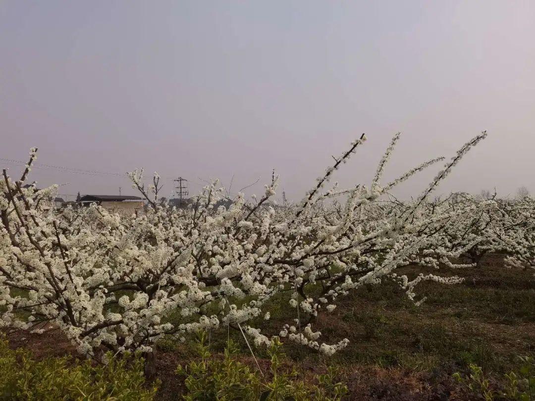 农家菜盛宴，爱与陪伴的美食之旅