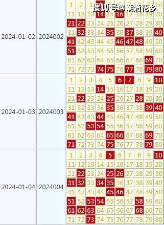 “2024天天彩全年免费资料大放送，揭晓赢家结果_投资版UZH620.24”