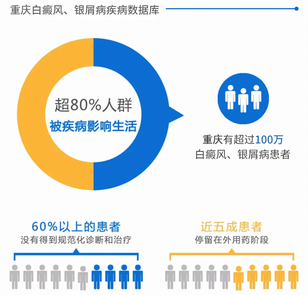 澳门2021雷锋正版免费资料，白银版JIT727.84全新解读方案