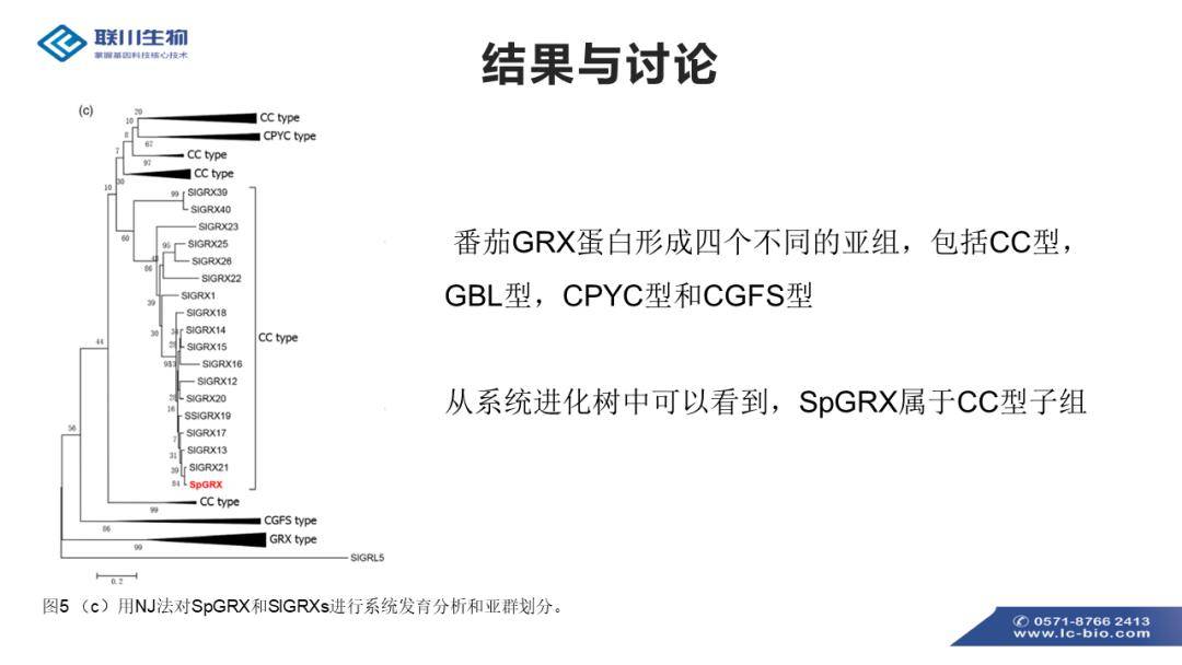 新澳精准资料免费分享第219期：简易ERK814.62解析指南