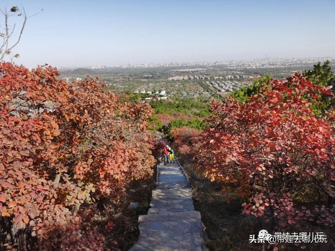 郑州五环最新规划图揭秘，自然美景的探索之旅