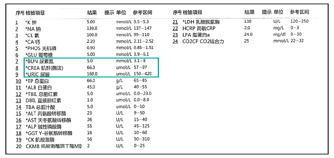 肌酐正常值最新标准2024，变化中的自信与学习成长的励志篇章