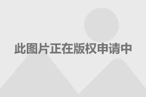 上海退休人员养老金调整最新动态