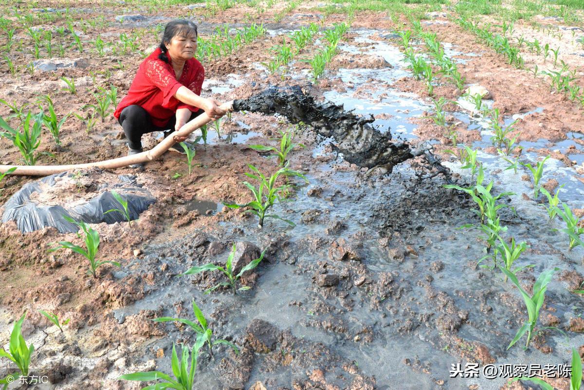 化肥市场最新行情概览，走势分析与未来展望