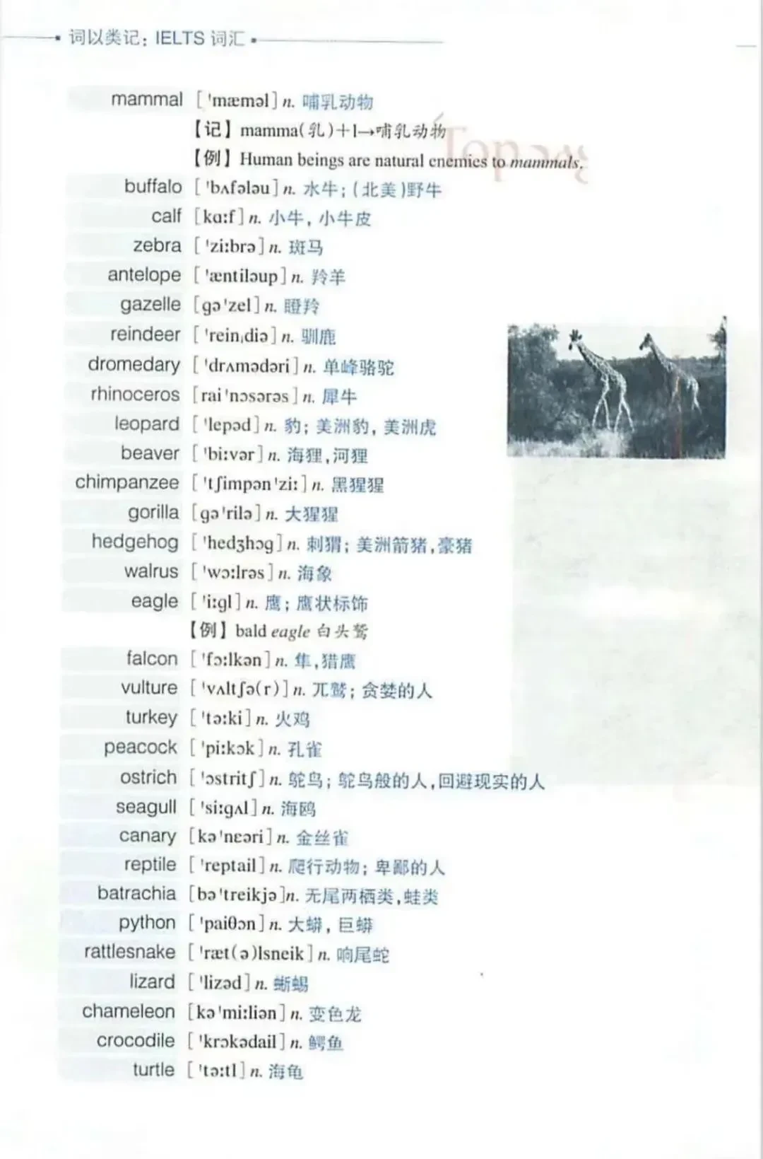 香港资料大全正版资料2024年免费,表达解析事件的词语GJP621.223网页版