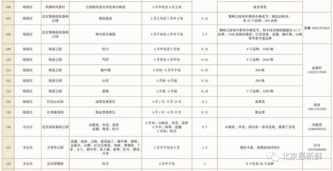 新奥门正版免费资料大全旅游团,矩阵的综合评判标准_成圣LQO520.73