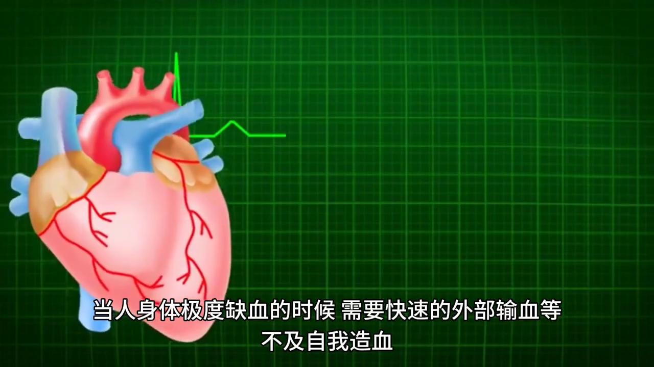 最新泵工招聘信息解析与论述，寻找最优秀的泵工人才加入我们的团队！