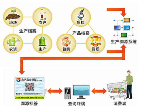 陆欣怡 第6页