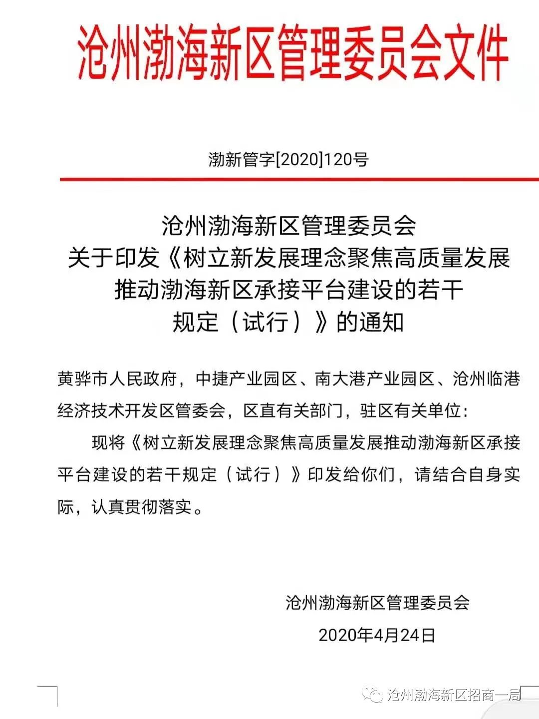 渤海新区官网发布最新公告，探寻背后的温馨故事