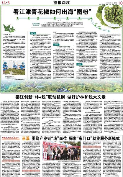 盘龙区招聘网最新职位，探索自然美景之旅，寻找内心平和的旅程