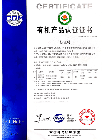 今晚澳门特马开什么号码,通讯词语解析_残奥会GIB71.62.85