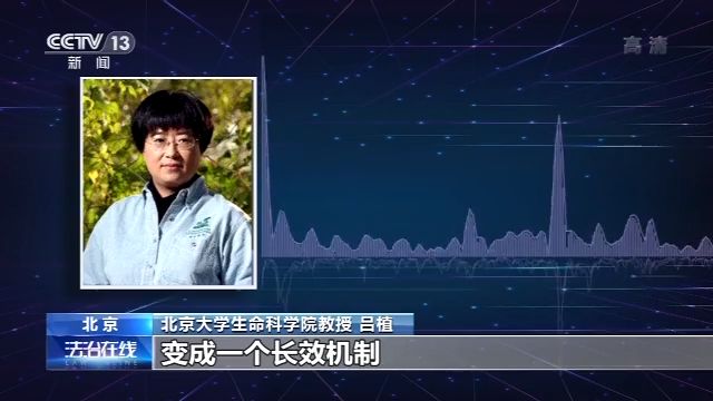 关于黑生物直播的深入探讨与分析