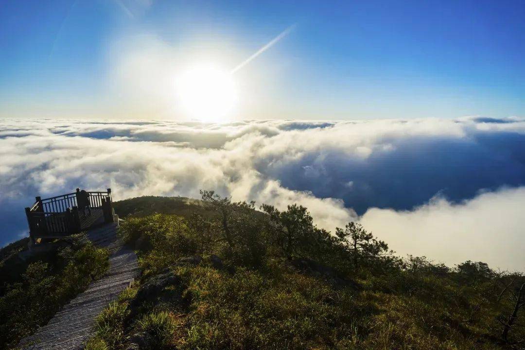 龙泉直播平台，探索自然美景，寻觅内心平和之旅