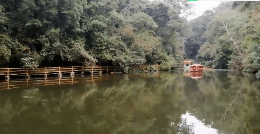 小傻蛋直播，自然美景的治愈之旅探索之旅