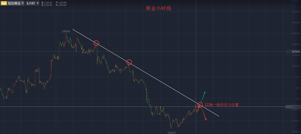 香港今夜预测一肖，数据驱策策略_SAE68.944灵动版