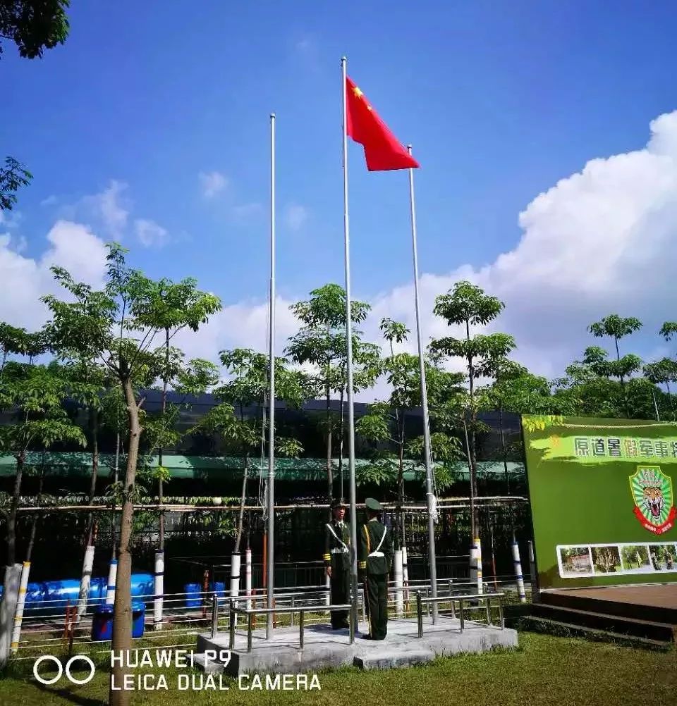 看直播升旗，探寻内心平静的心灵之旅