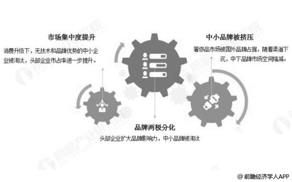 特别肖像资料与战术解析：三肖三期必出策略研究_KIR8.12.25日常版