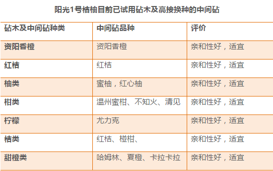 新奥天天免费资料正版优势详解及实施说明_WSH2.46.53日常版