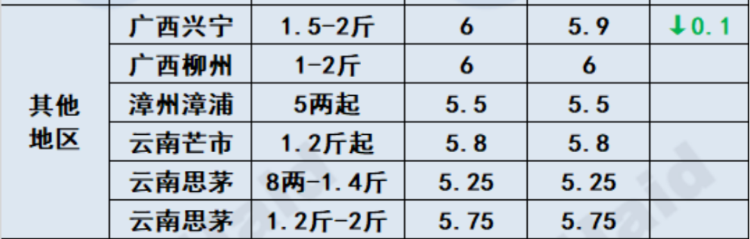 蛛丝马迹 第5页