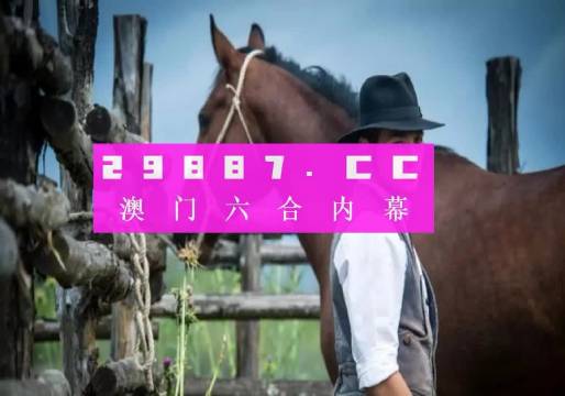 澳门今晚必中一肖一码,实地数据验证_DEJ98.405高效版